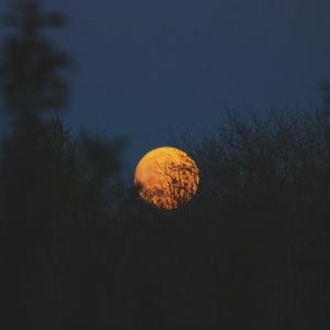 宁艺卓做爱视频
