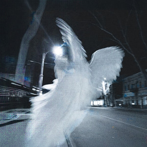 宁艺卓做爱视频
