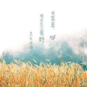 宁艺卓做爱视频
