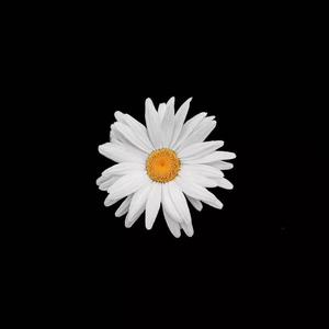 宁艺卓做爱视频
